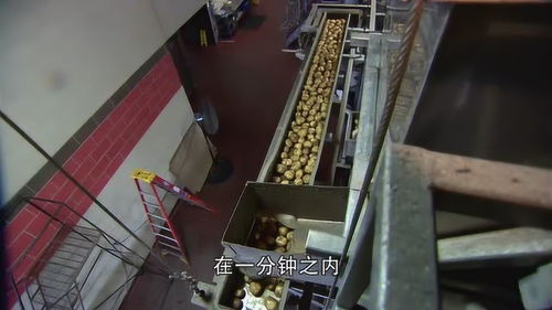 探秘美國全自動(dòng)薯片工廠 高效流水線下的美味制造