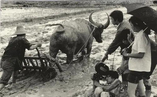 青春祭 沒有什么能夠阻擋，你對美麗的向往